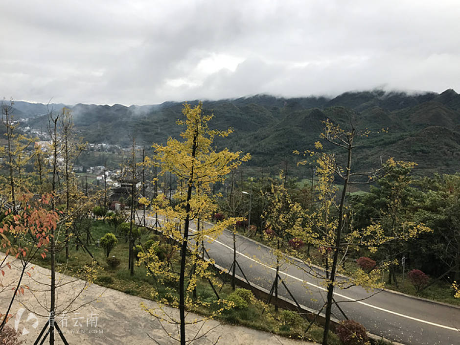 今日云南|你可能不知道，彝良也有个小草坝