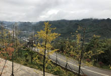 今日云南|你可能不知道，彝良也有个小草坝-看看云南