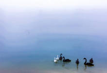 今日云南|武定狮子山-看看云南