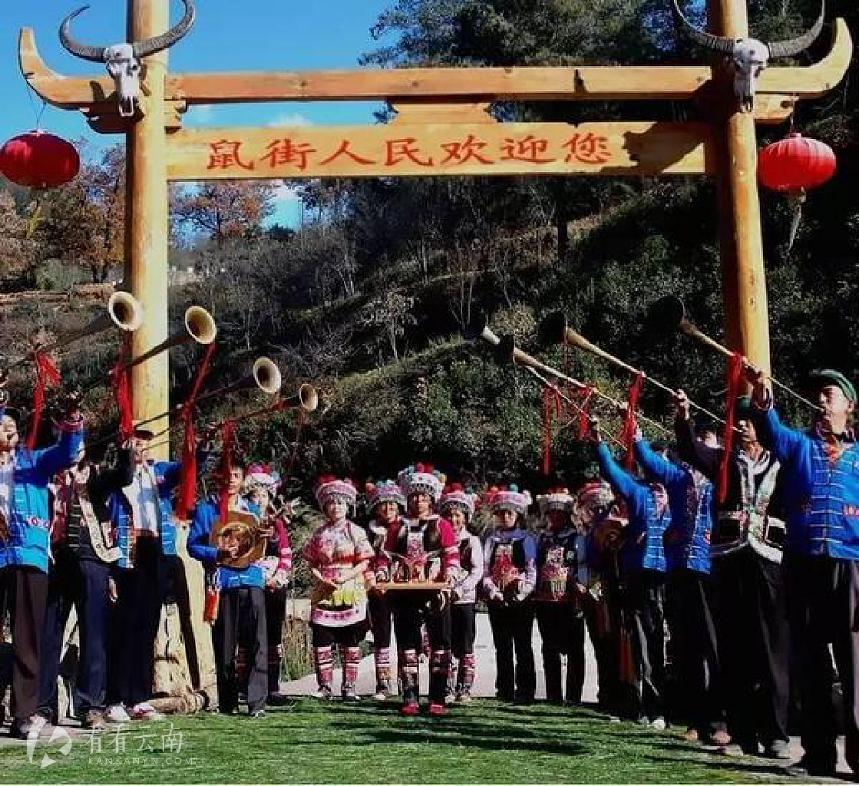 嵩明鼠街