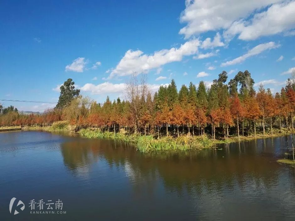 今日云南|宛如水墨画的东大河湿地