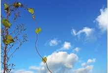 今日云南|久违的蓝天-看看云南