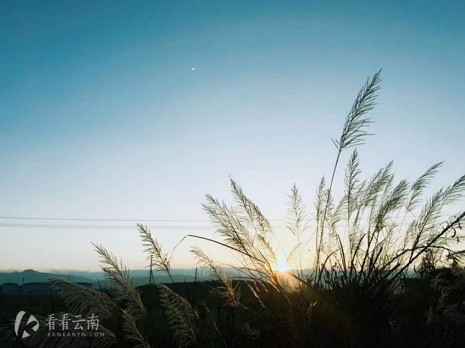 今日云南|在呈贡晨走的第500天