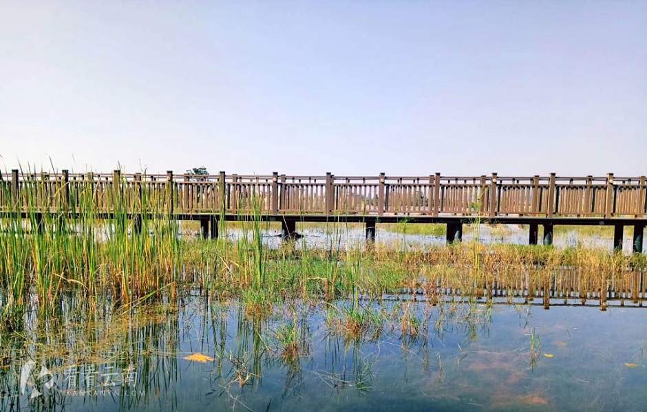 今日云南|楚雄彝海公园