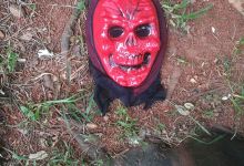 今日云南|昆明西园路上被丢弃的万圣节面具-看看云南