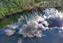 今日云南|海埂湿地公园-看看云南