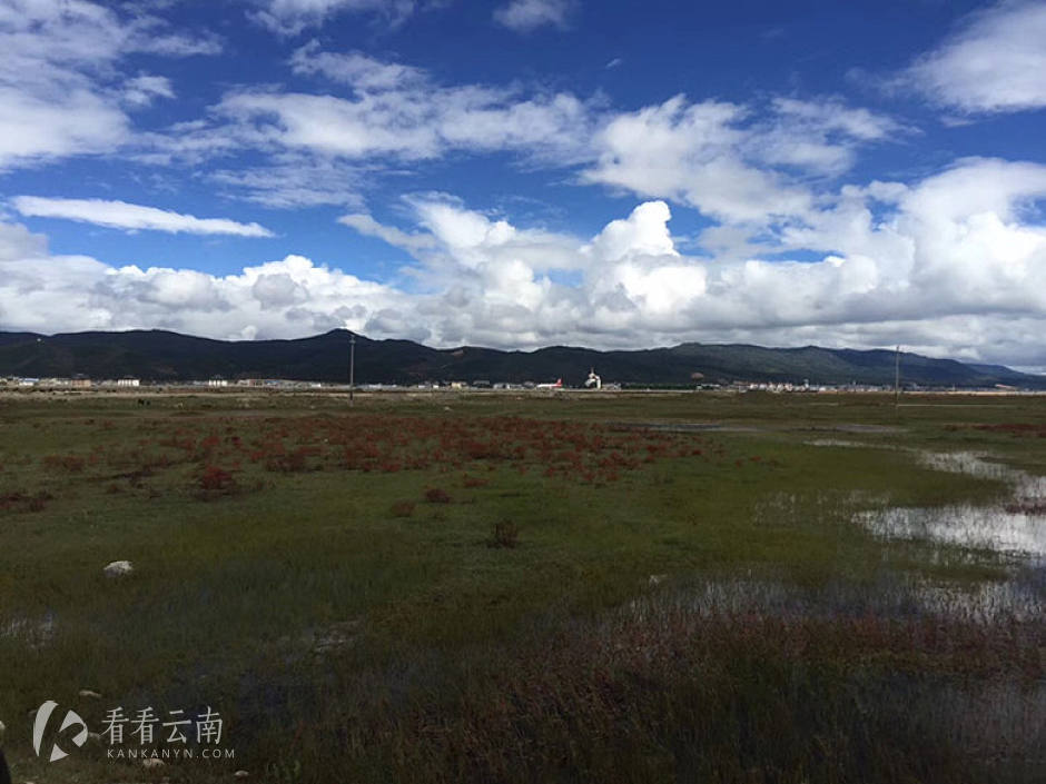 今日云南|香格里拉的湿地草原
