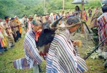 99%云南人都不知道的节，木条刻几刀就是请柬，哑巴子民杀鸡敬酒-看看云南