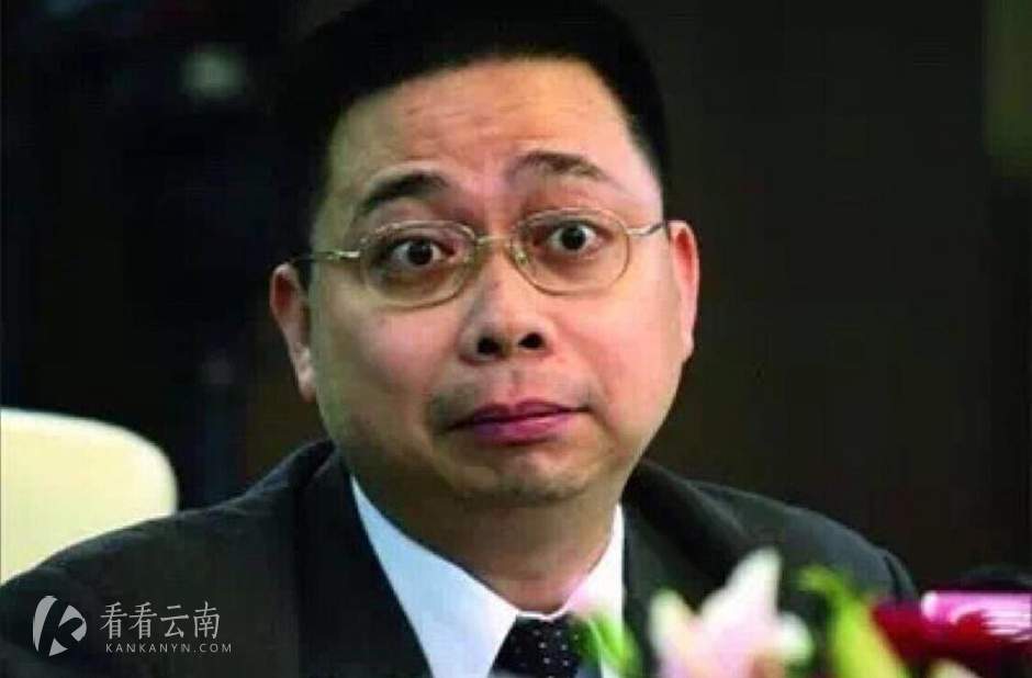 宝能集团董事长姚振华