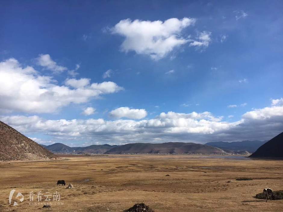 今日云南|草原