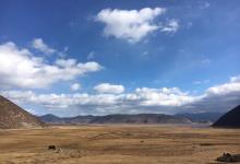 今日云南|草原-看看云南