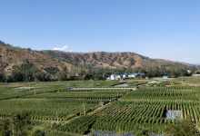 今日云南|乡野田地-看看云南