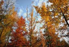 今日云南|昆明植物园-看看云南