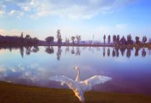 今日云南|呈贡云南大学-看看云南