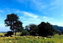 今日云南|北大营-看看云南