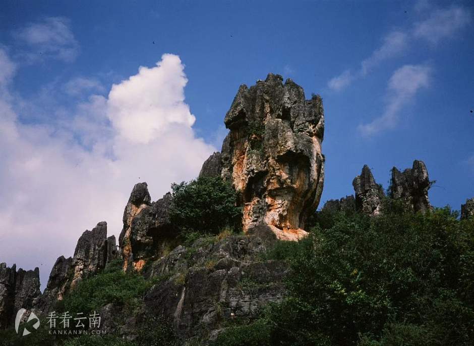 今日云南|石林