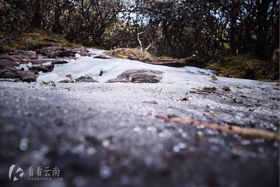 今日云南|昆明轿子雪山