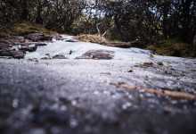 今日云南|昆明轿子雪山-看看云南
