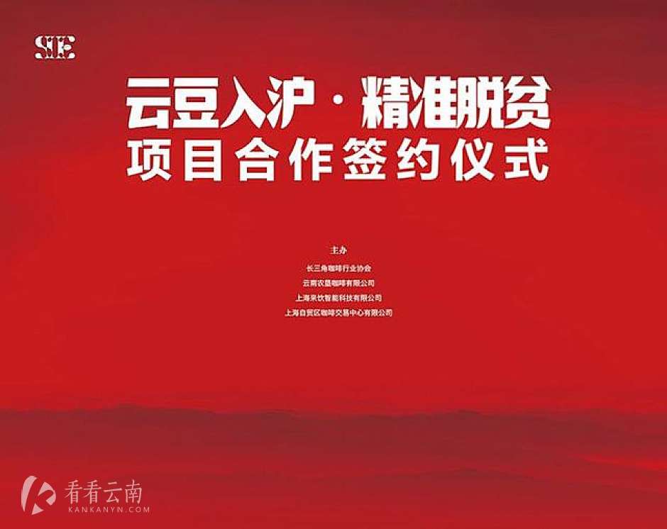 "云豆入沪扶贫”项目上海敲定，小粒咖啡插上"咖啡机翅膀"