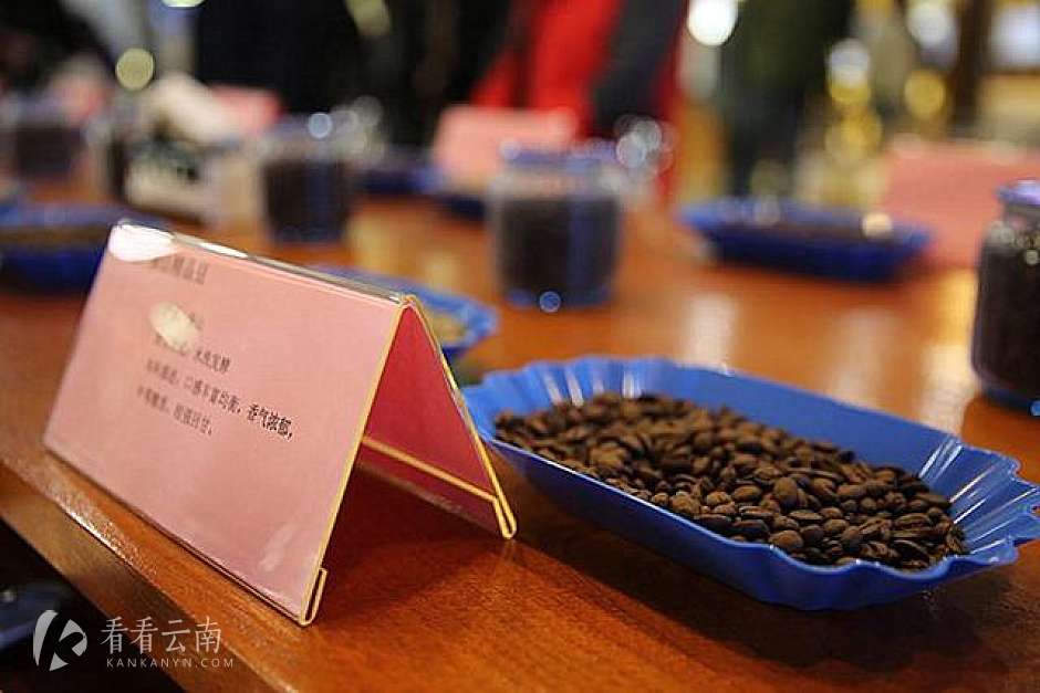 "云豆入沪扶贫”项目上海敲定，小粒咖啡插上"咖啡机翅膀"