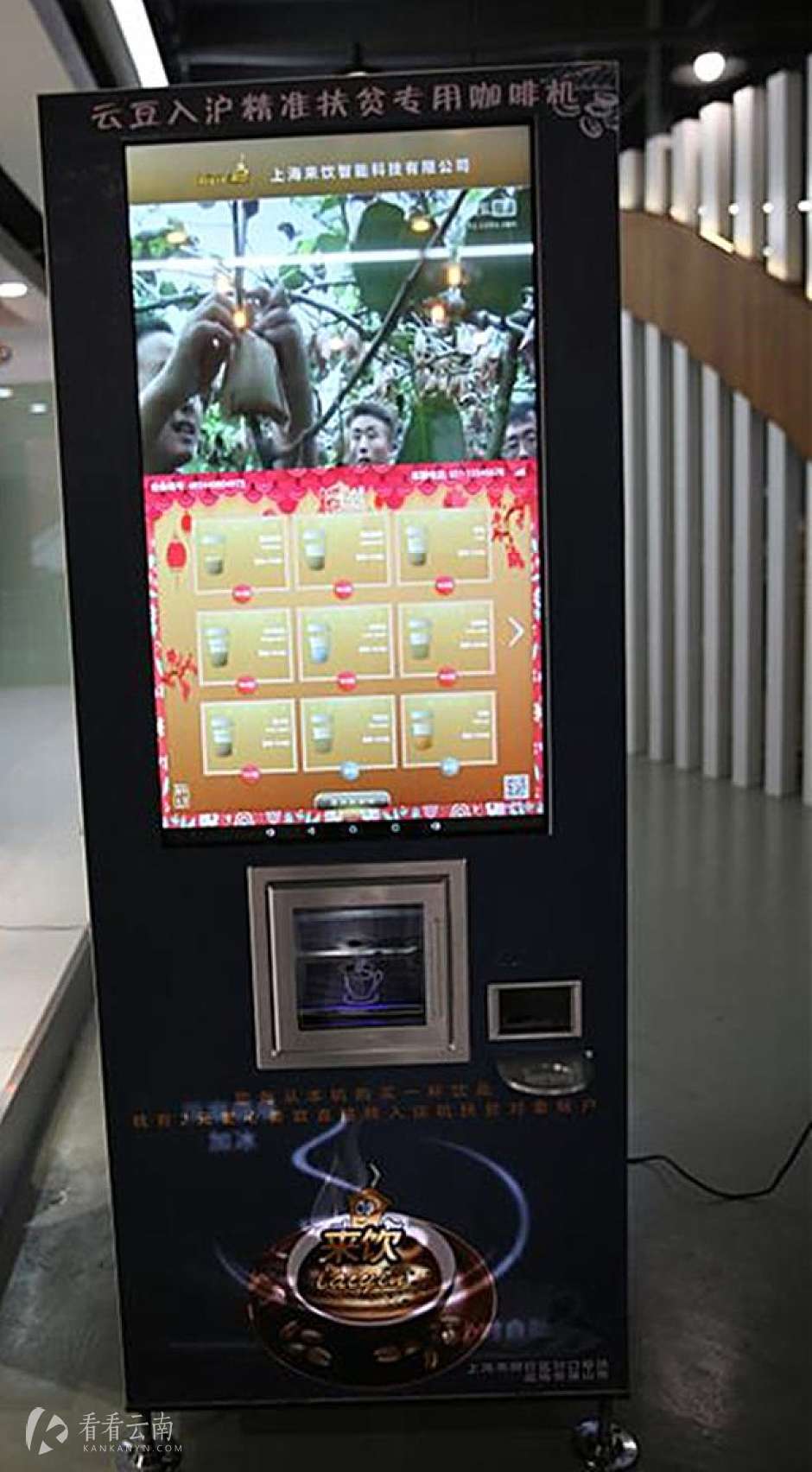 "云豆入沪扶贫”项目上海敲定，小粒咖啡插上"咖啡机翅膀"