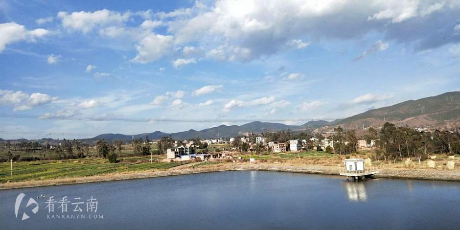 今日云南|鱼塘
