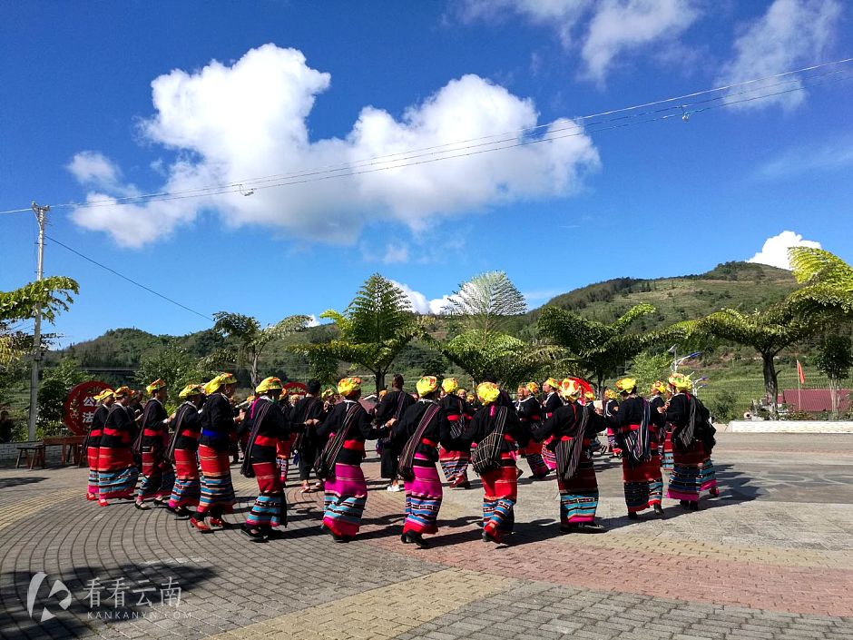 今日云南|打歌