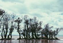 今日云南|捞鱼河湿地公园-看看云南