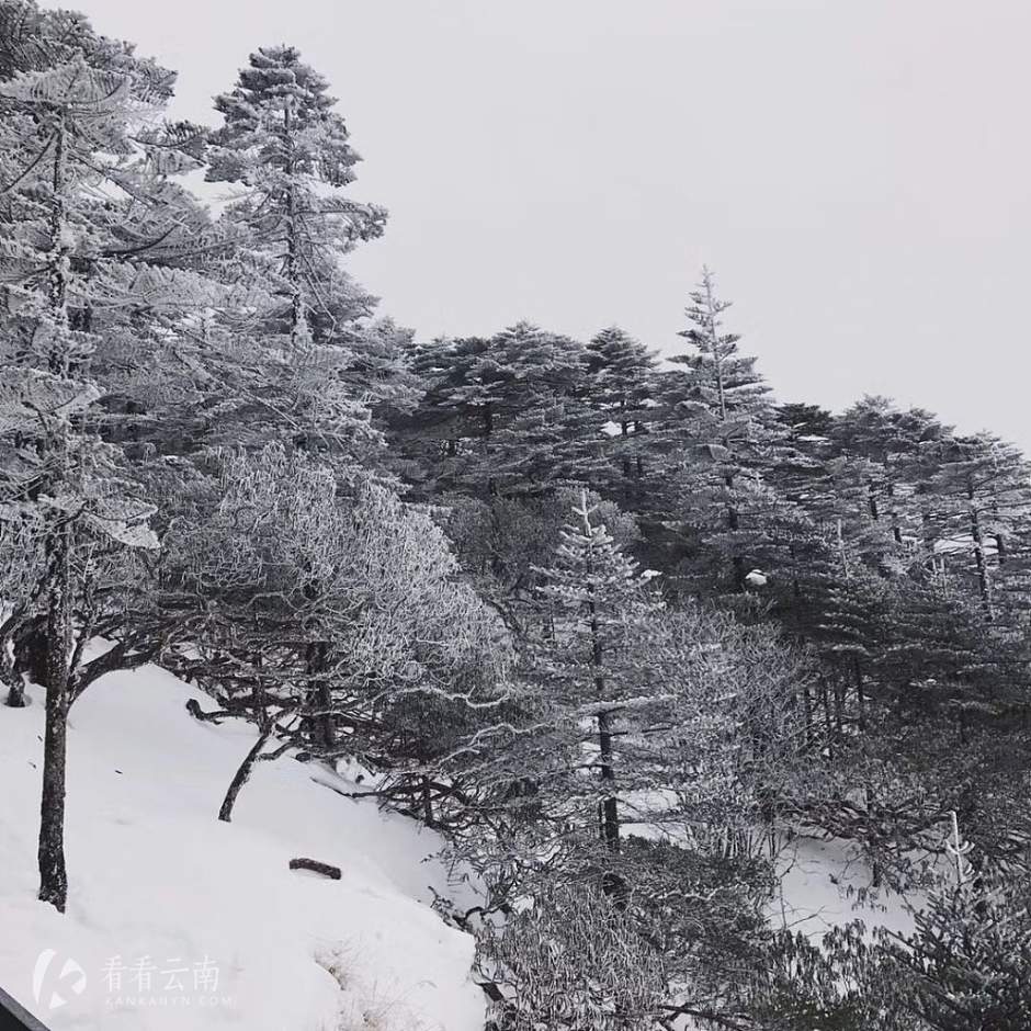 今日云南|轿子雪山 给你讲一个关于雪的故事