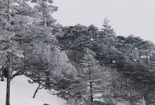 今日云南|轿子雪山 给你讲一个关于雪的故事-看看云南