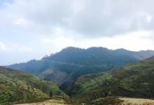 今日云南 | 文山麻栗坡-看看云南