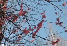 今日云南|昆明城-看看云南