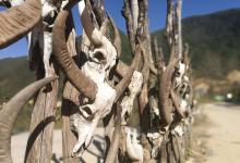 今日云南 | 沧源翁丁寨-看看云南