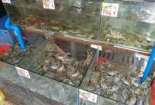 昆明最热闹的三个海鲜市场，品种多到看不过来，年夜饭不用愁-看看云南