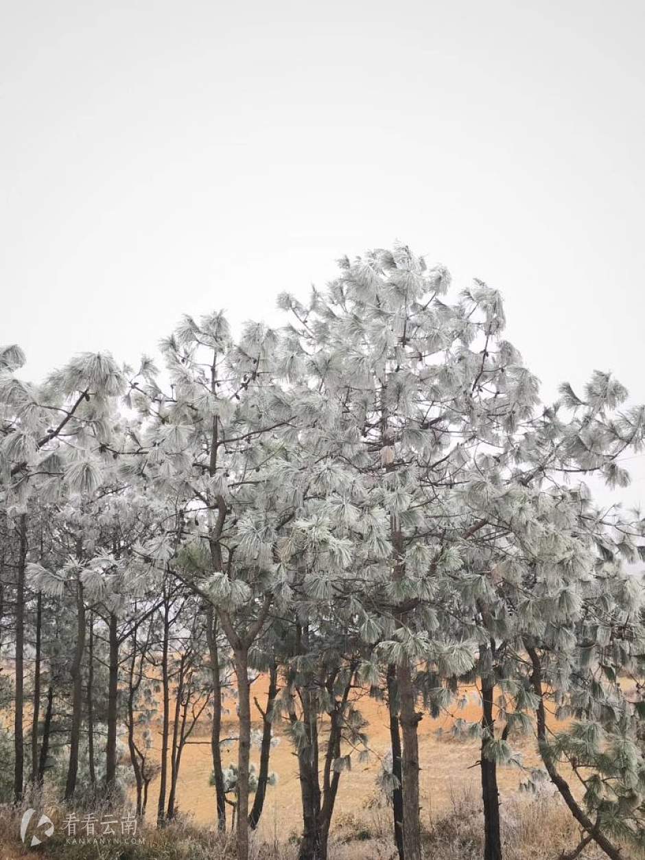 今日云南|昭通靖安坝子