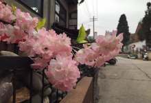 今日云南|昆明M60文化创意园-看看云南