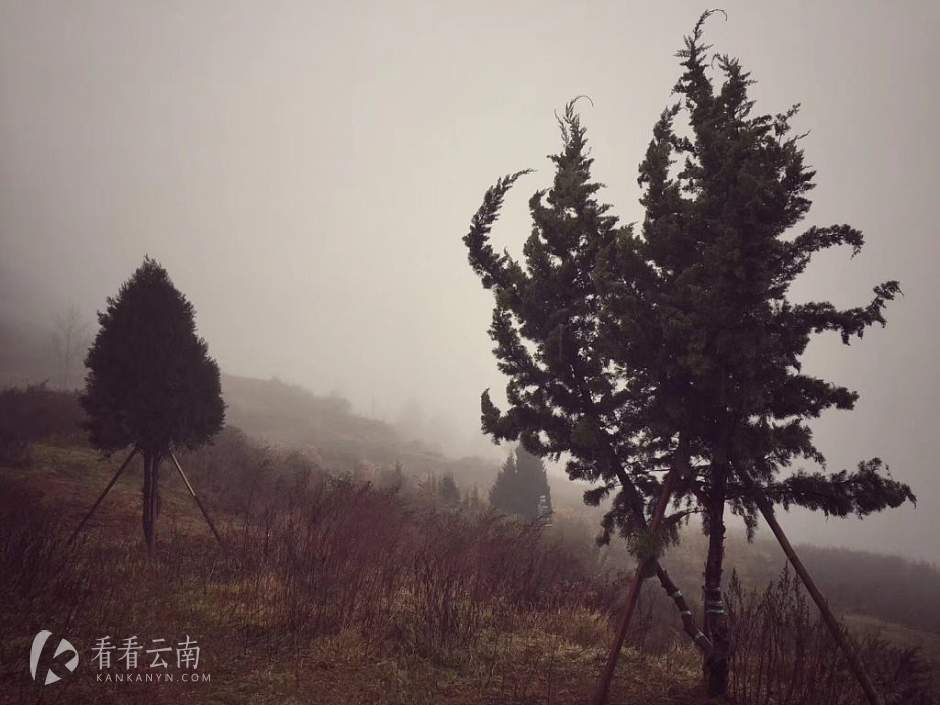 今日云南|昭通洪家营