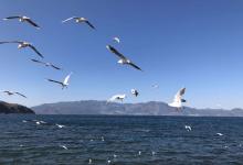 今日云南 | 抚仙湖-看看云南