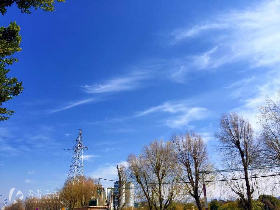 今日云南 | 下关街头