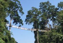 今日云南 | 西双版纳磨憨口岸-看看云南