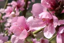 今日云南 | 普洱茶城街-看看云南