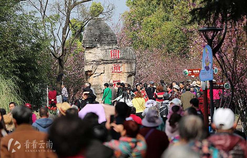 4万人涌入圆通动物园赏花看“非遗”
