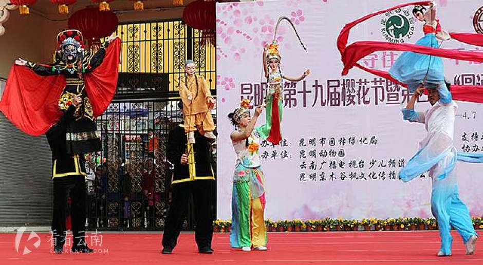 4万人涌入圆通动物园赏花看“非遗”