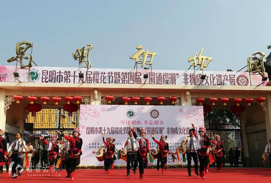 4万人涌入圆通动物园赏花看“非遗”