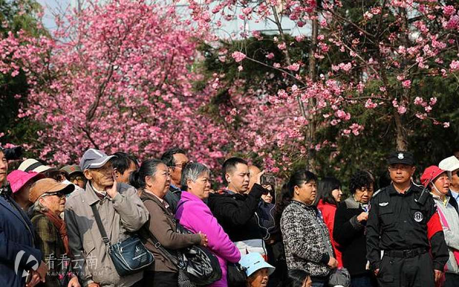 4万人涌入圆通动物园赏花看“非遗”