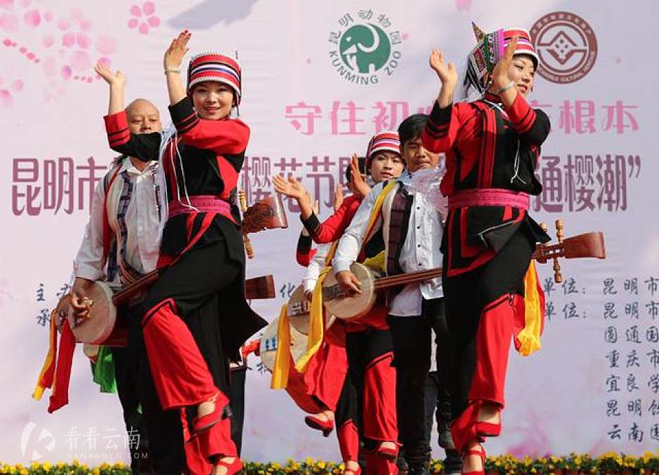 4万人涌入圆通动物园赏花看“非遗”