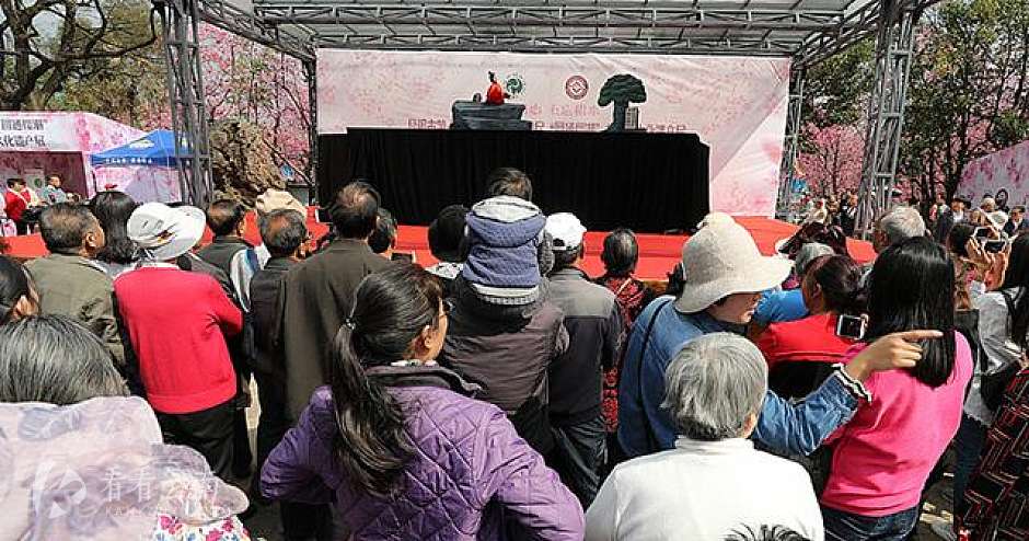 4万人涌入圆通动物园赏花看“非遗”