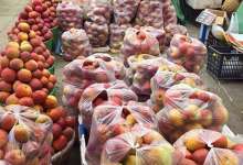 被昭通市长带火的苹果,长得有多丑,就有多好吃-看看云南