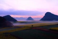 今日云南|罗平油菜花云海-看看云南