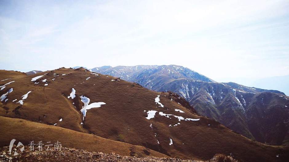 今日云南|会泽大海草山